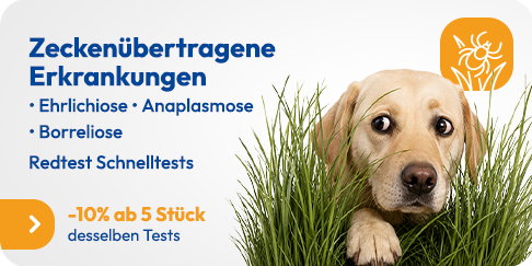 Zeckenübertragene_Erkrankungen